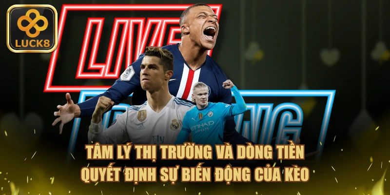 Tâm lý thị trường và dòng tiền quyết định sự biến động của kèo